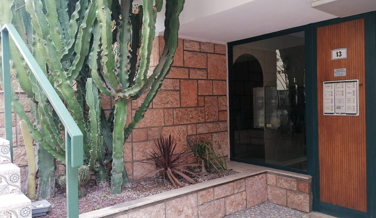 34d9cfd3-d1ad-47c3-91ee-67a905a1568c